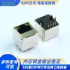 RJ45立式直插DIP无灯网口8P8C连接器接口网络座子H16.5
