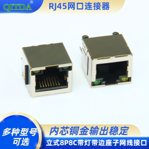 RJ45网口连接器母座立式8P8C带灯带边座子直插DIP接口
