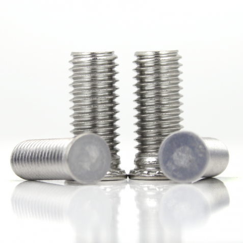 Stainless steel Clinch Studs