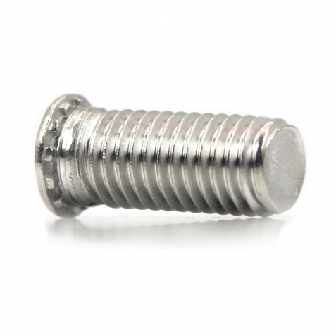 Stainless steel Clinch Studs